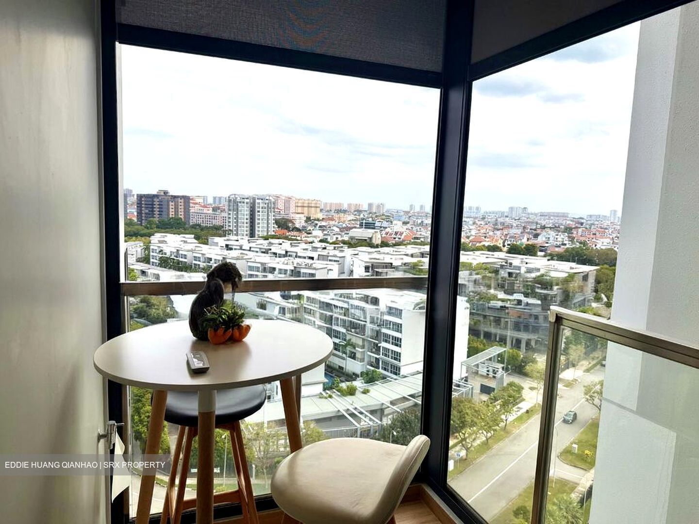 Urban Treasures (D14), Condominium #519663111